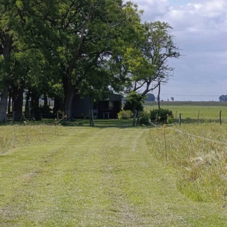 #04_Mesa de trabajo 1