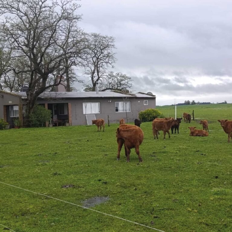 #11_Mesa de trabajo 1