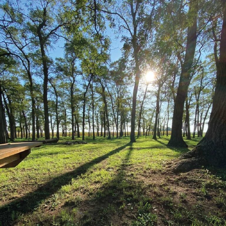 #12_Mesa de trabajo 1