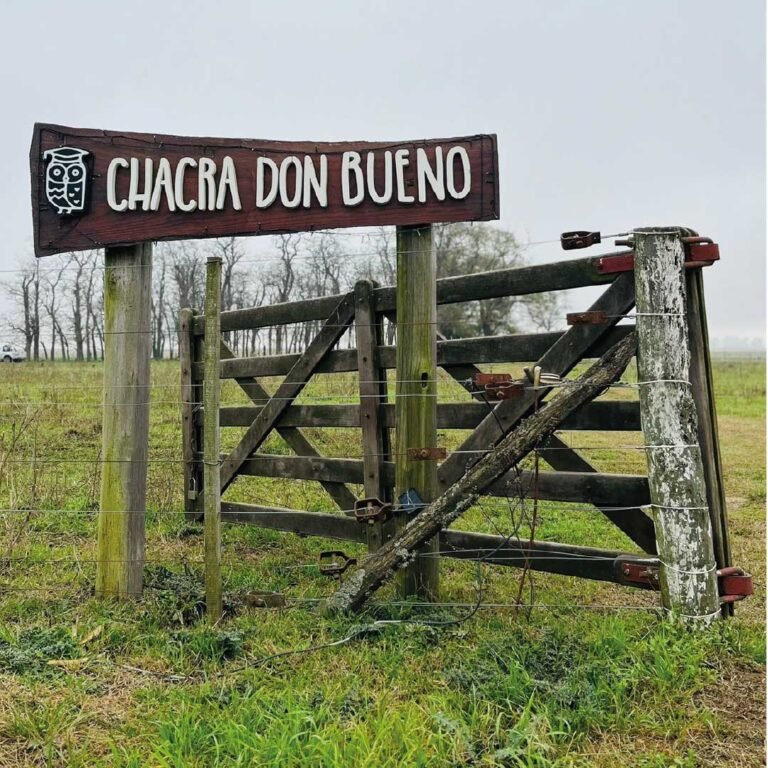 #18_Mesa de trabajo 1