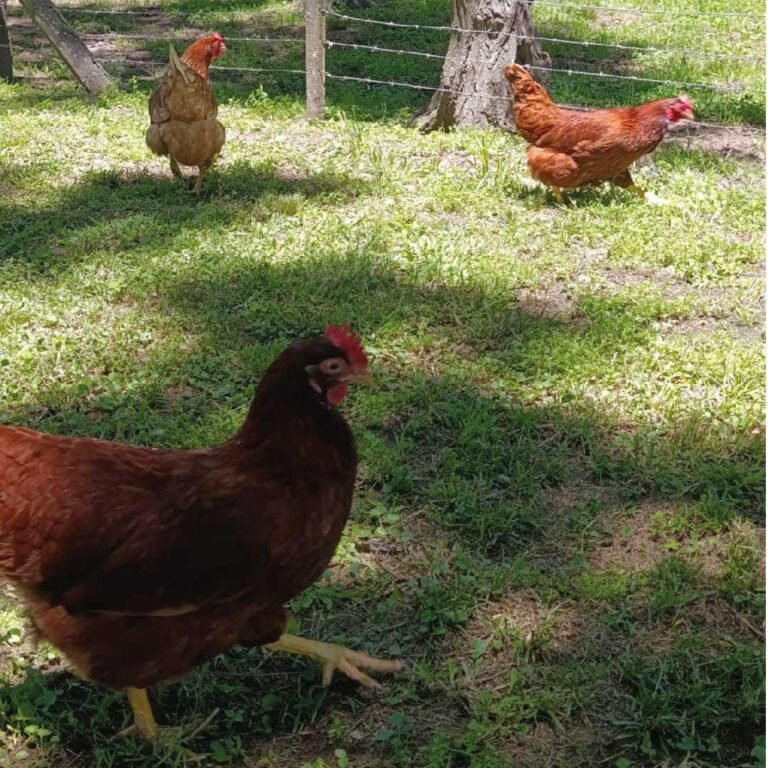 #23_Mesa de trabajo 1