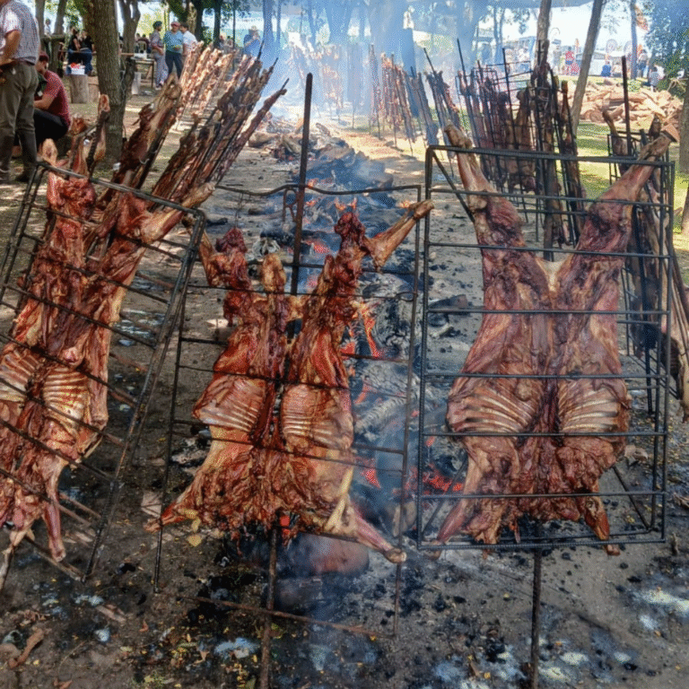 Diseño sin título (5)